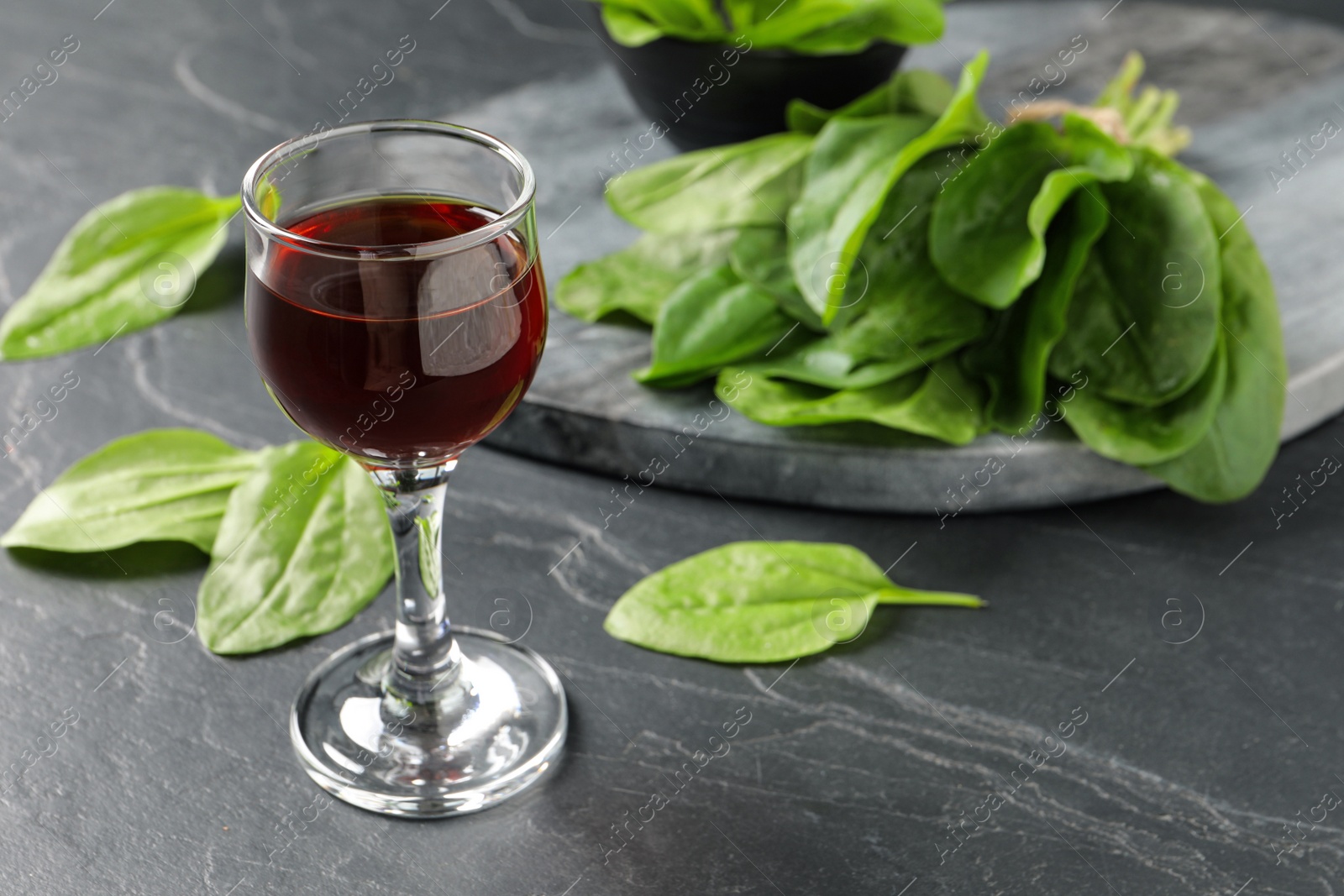 Photo of Broadleaf plantain tincture on grey table, space for text