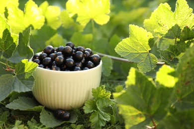 Photo of Ripe blackcurrants in bowl and leaves on green grass. Space for text