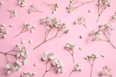 Photo of Beautiful floral composition with gypsophila flowers on pink background, flat lay