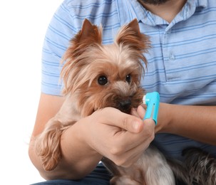 Photo of Man brushing dog's teeth on white background, closeup