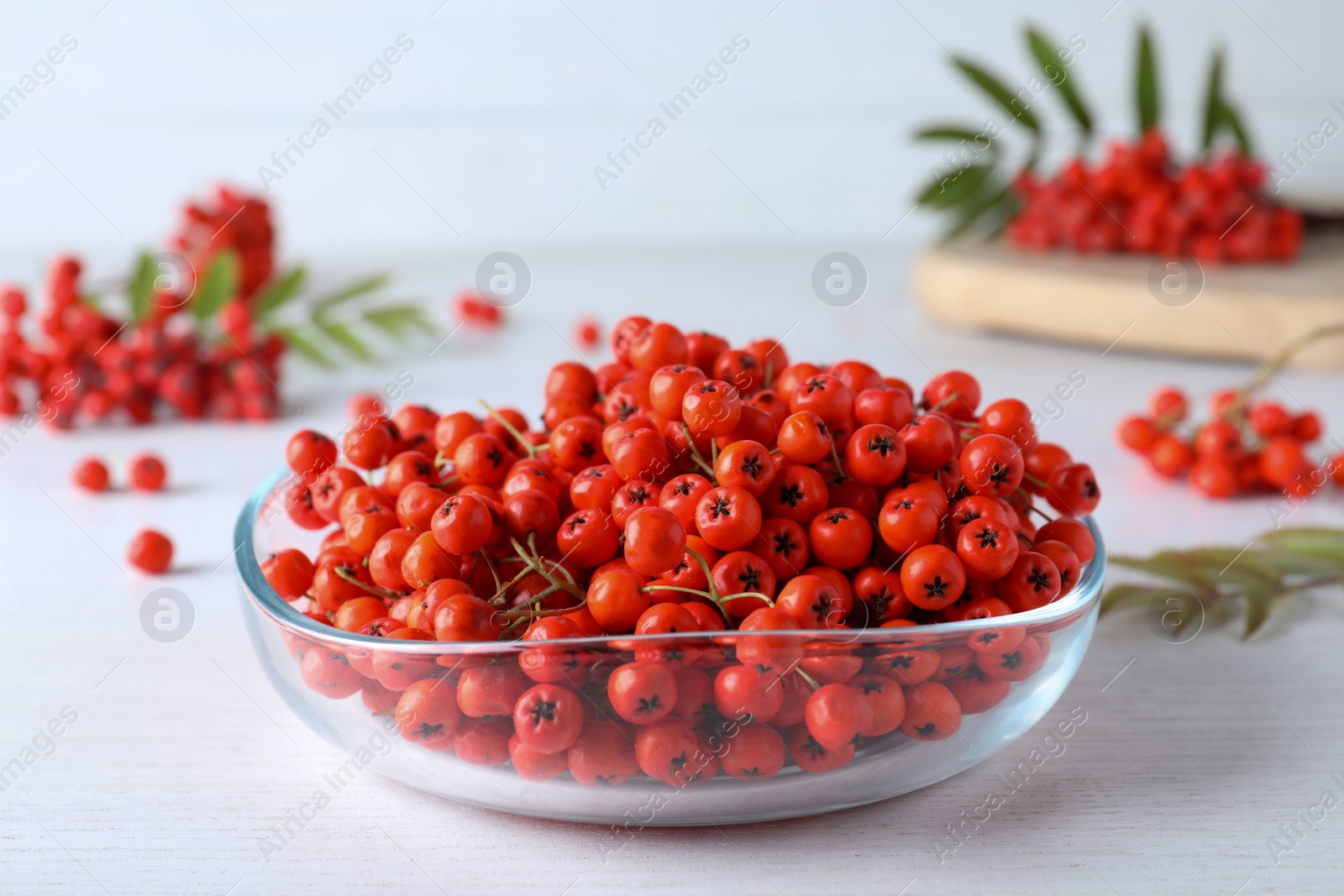 Photo of Fresh ripe rowan berries in glass bowl on white wooden table