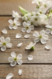 Photo of Spring blossoms and petals on wooden table, closeup