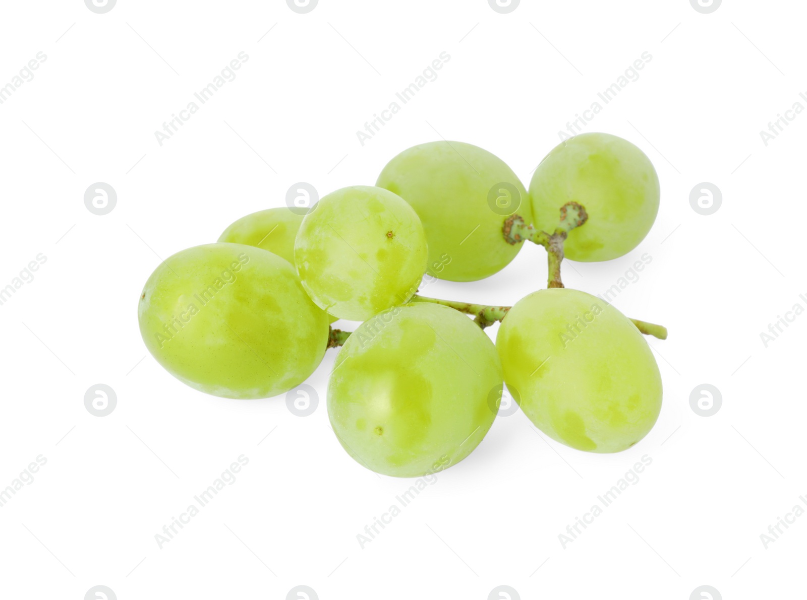 Photo of Fresh ripe juicy grapes isolated on white