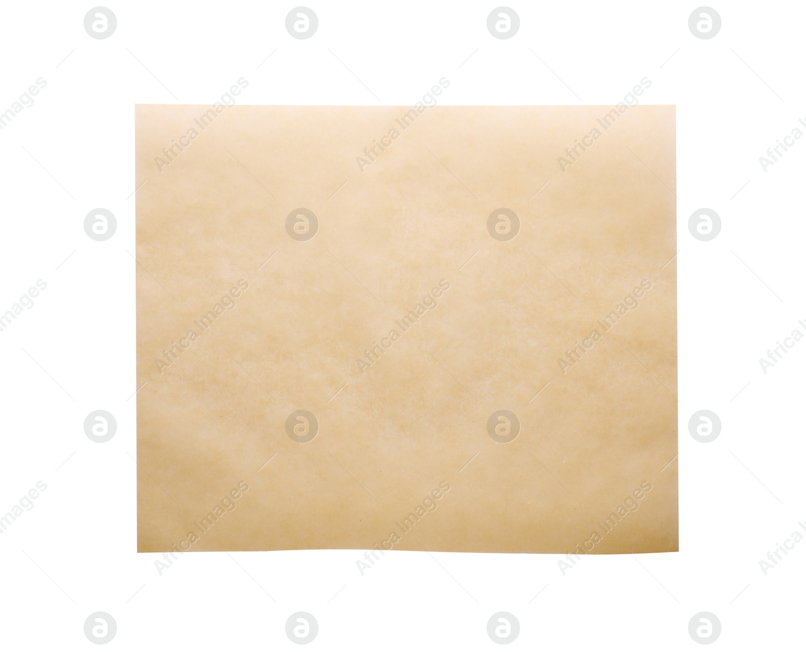 Photo of Sheet of baking paper isolated on white