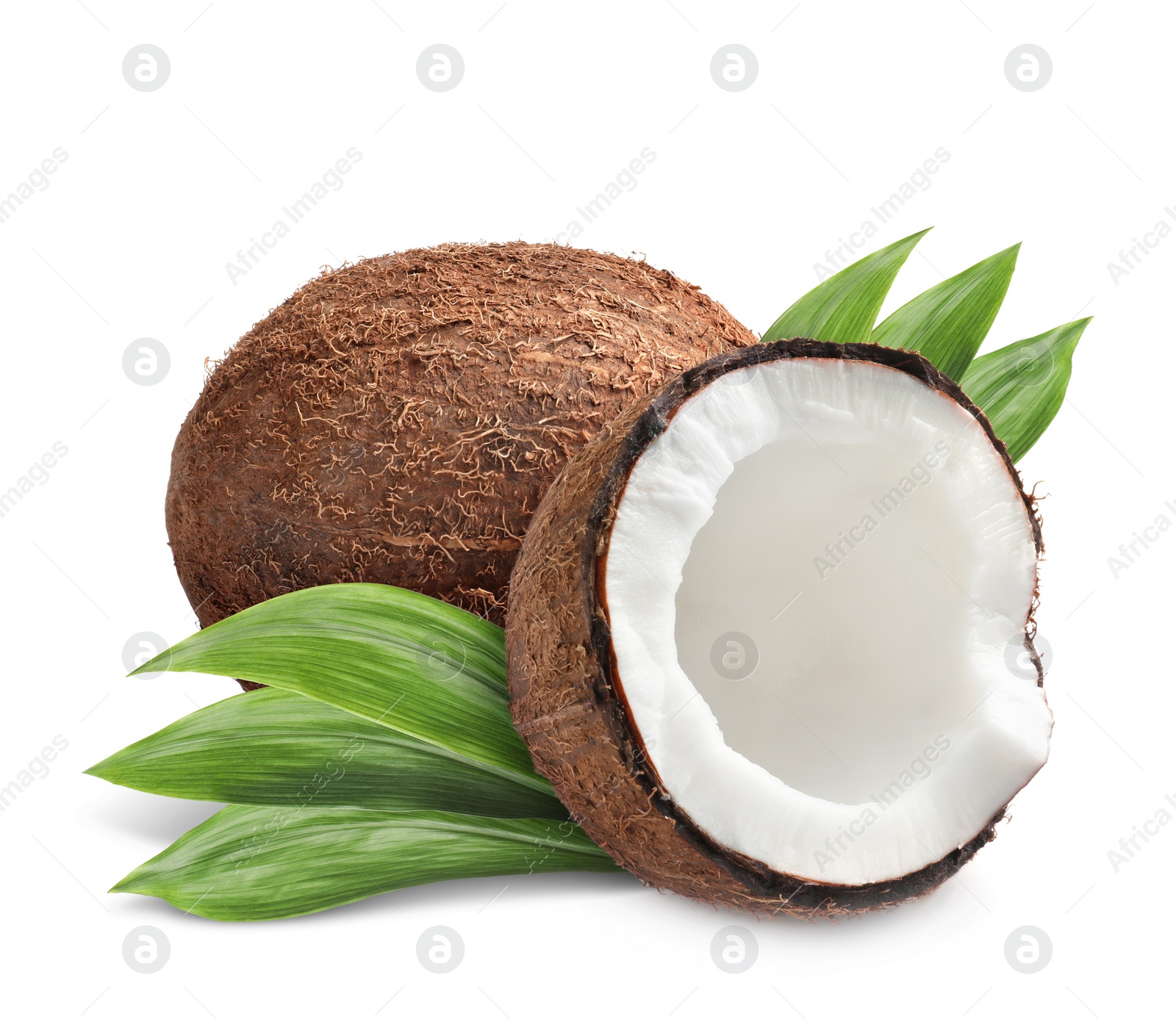 Tasty ripe coconuts and green leaves on white background Image of Tasty ripe coconuts and green leaves on white background