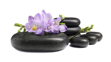 Beautiful violet freesia flowers and stones isolated on white