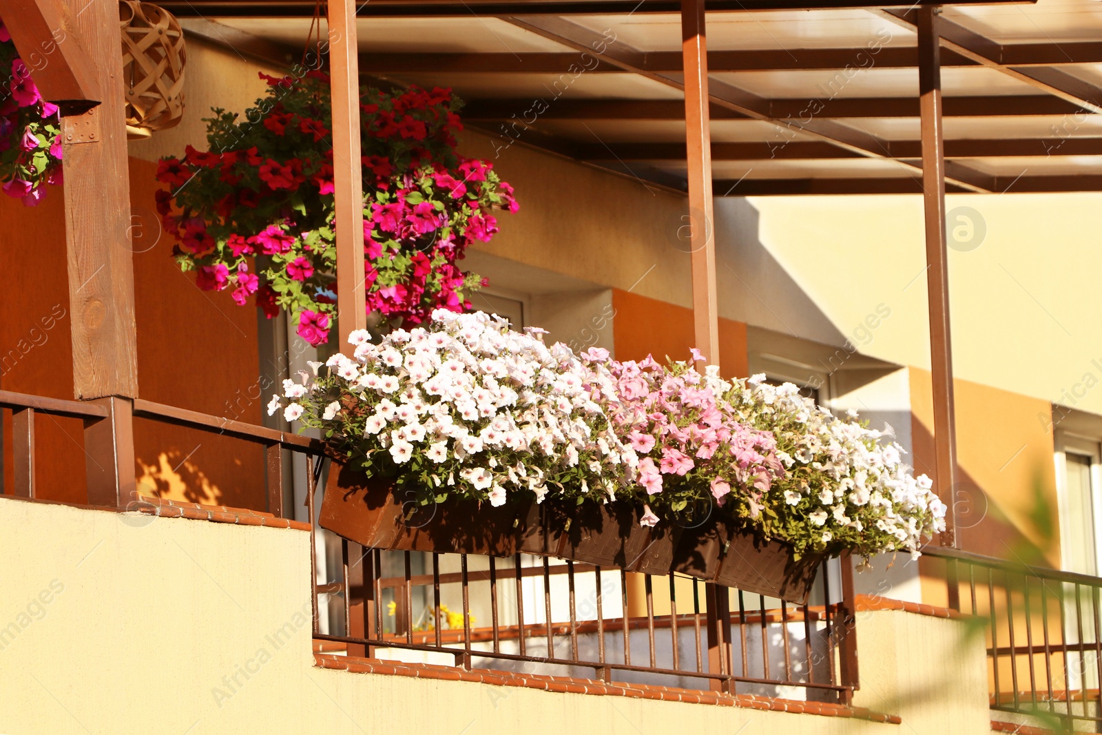 Photo of Balcony decorated with beautiful blooming potted plants on sunny day