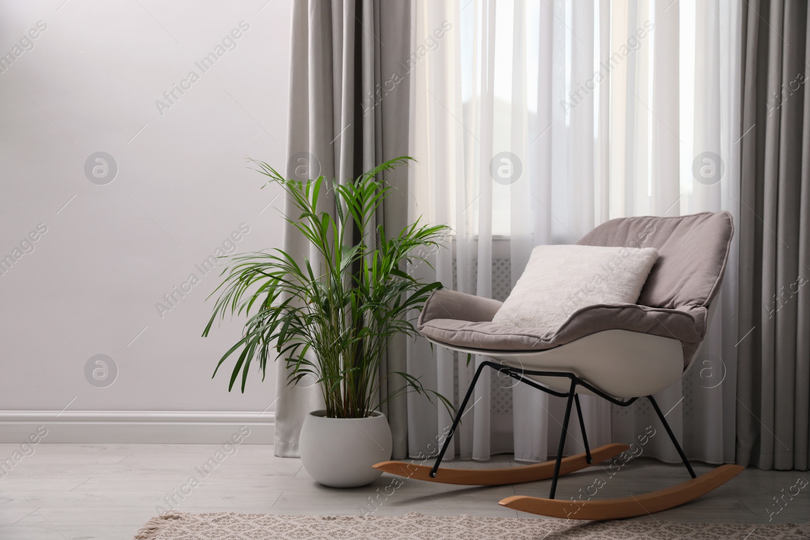 Photo of Comfortable rocking chair and beautiful plant near window indoors