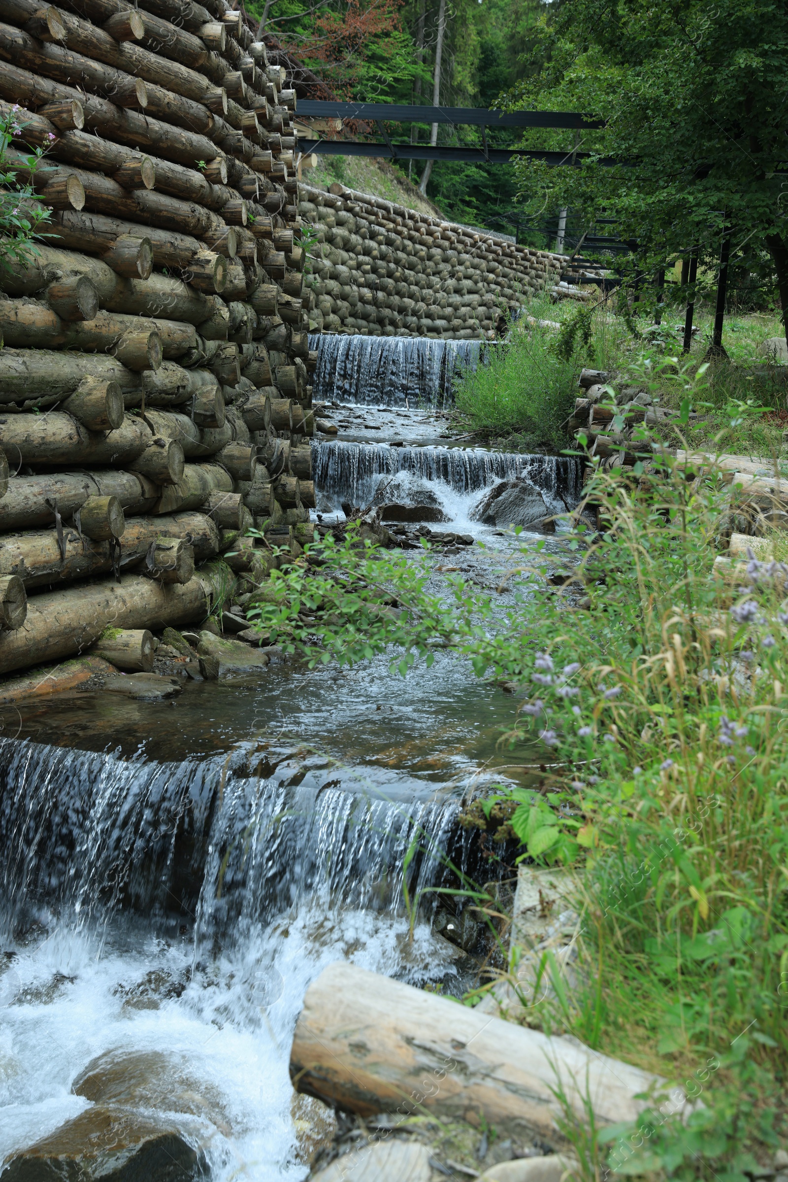 Photo of View of river flowing near rocks in forest