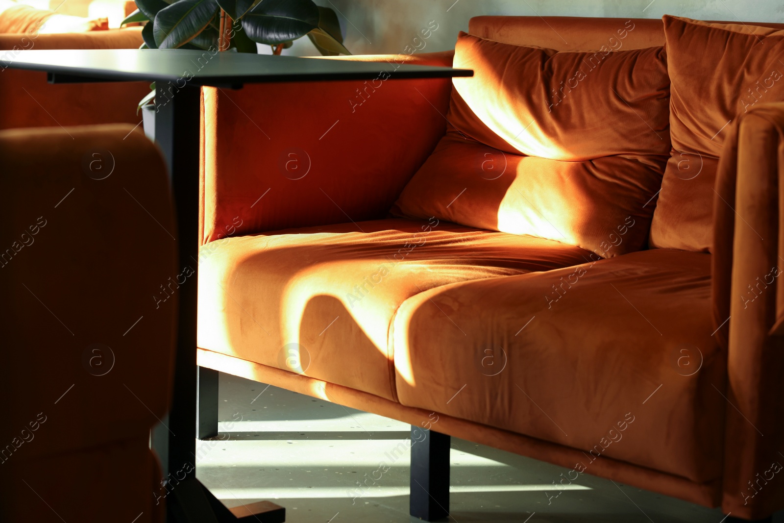 Photo of Cozy cafe interior with sofa, table and ficus