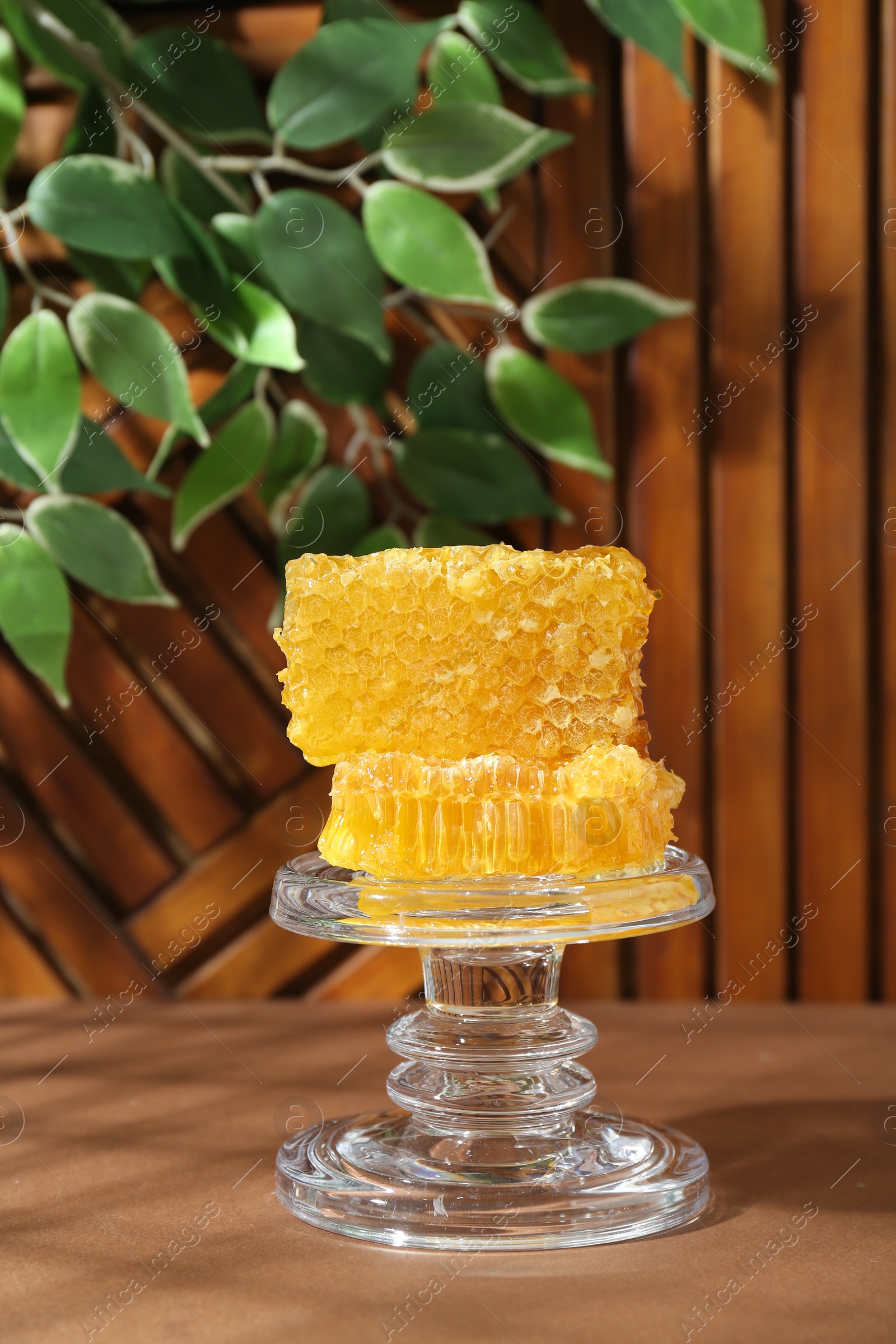 Photo of Glass stand with natural honeycombs on wooden table