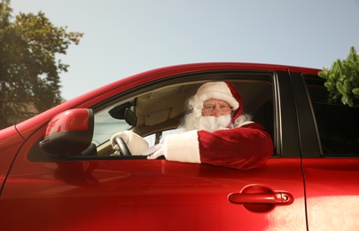 Authentic Santa Claus with fir tree driving modern car, outdoors