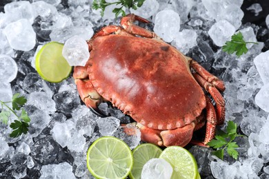 Photo of Delicious boiled crab, lime, parsley and ice on table, above view