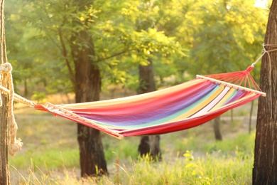 Photo of Empty comfortable bright hammock at green garden
