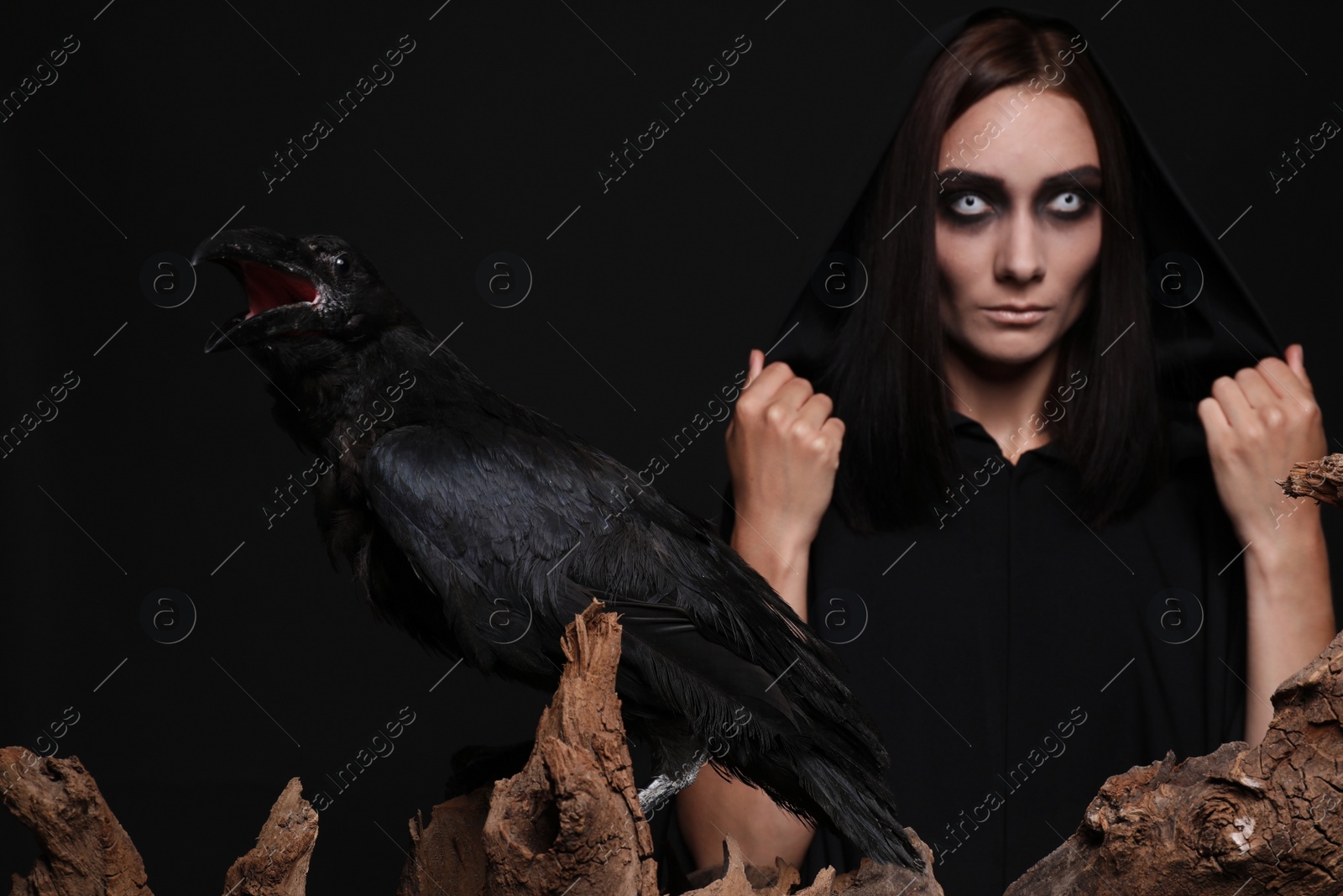 Photo of Raven and mysterious witch on black background