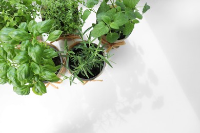 Different fresh potted herbs on windowsill indoors, above view. Space for text