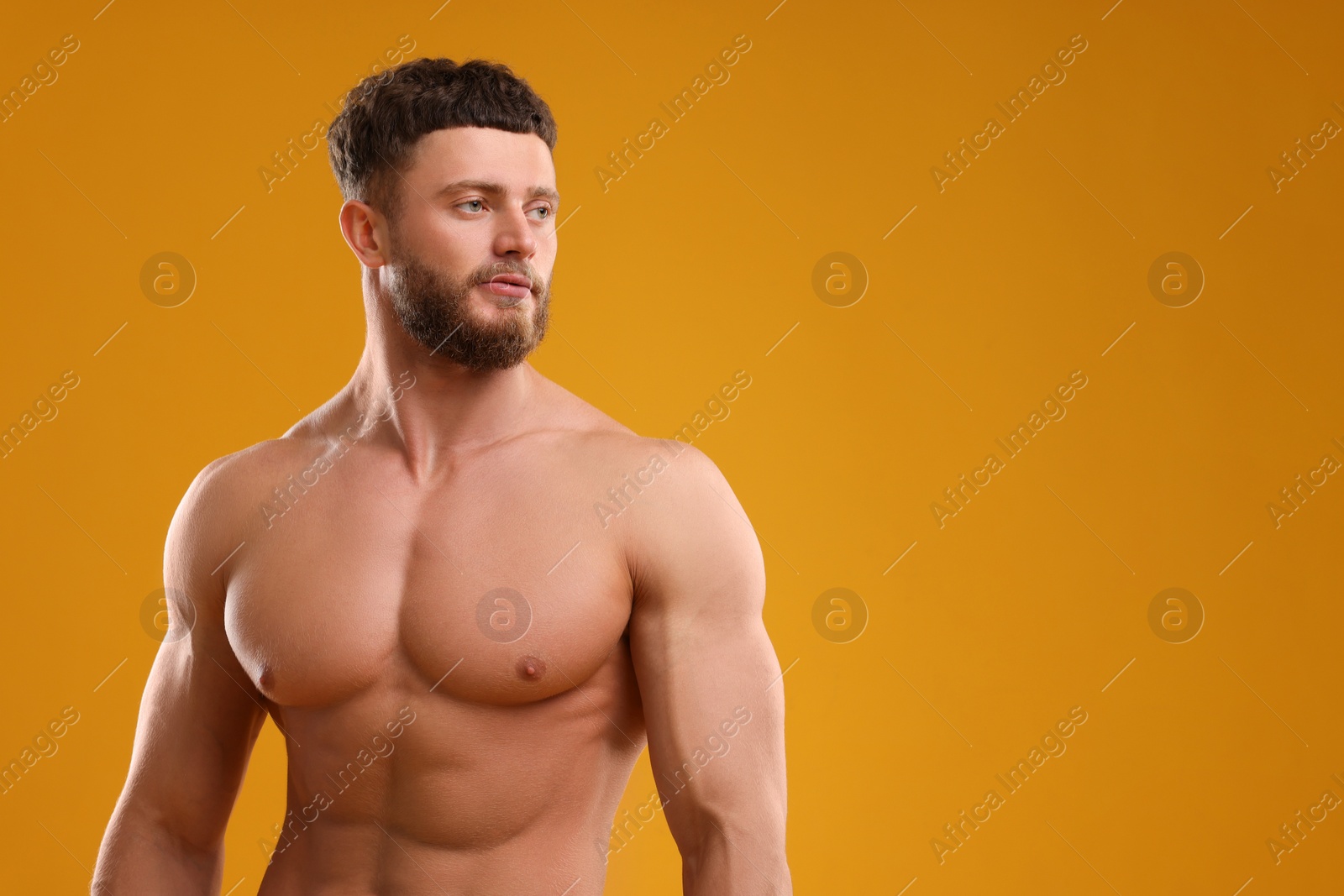 Photo of Muscular man on orange background, space for text. Sexy body