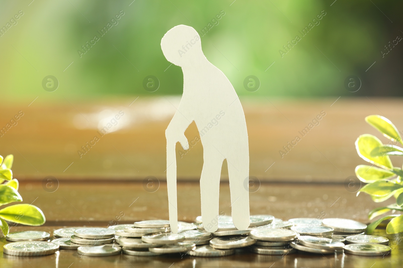 Photo of Pension savings. Figure of senior man, coins and green twigs on wooden table outdoors