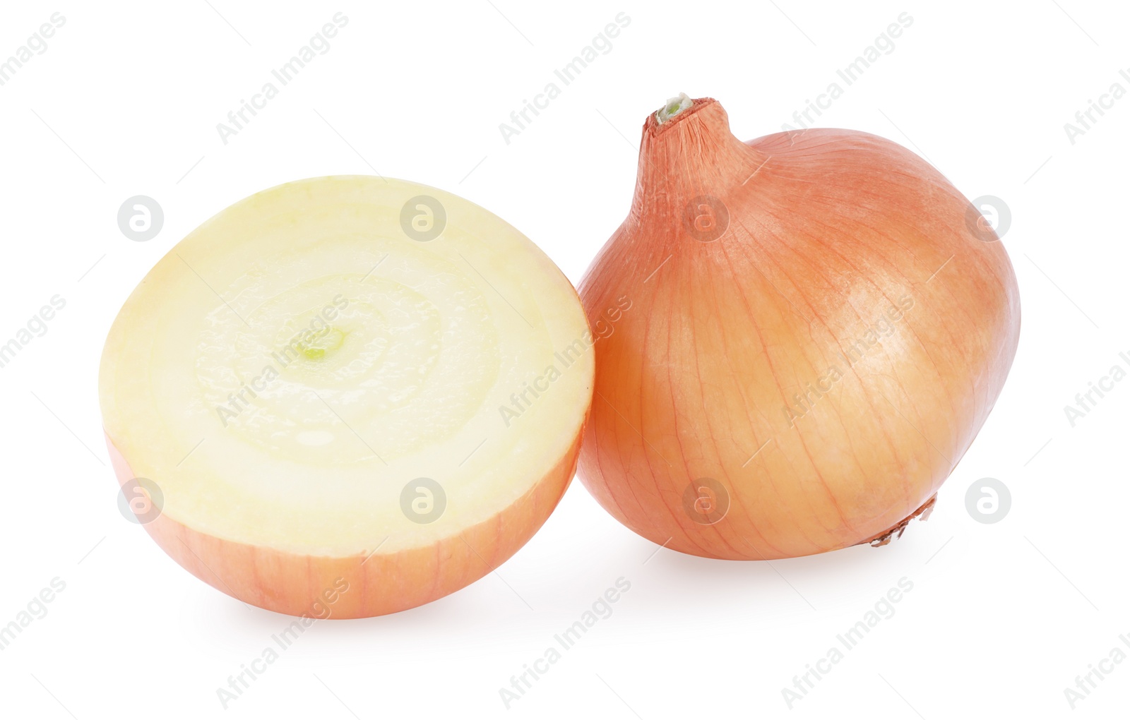 Photo of Whole and cut onions on white background