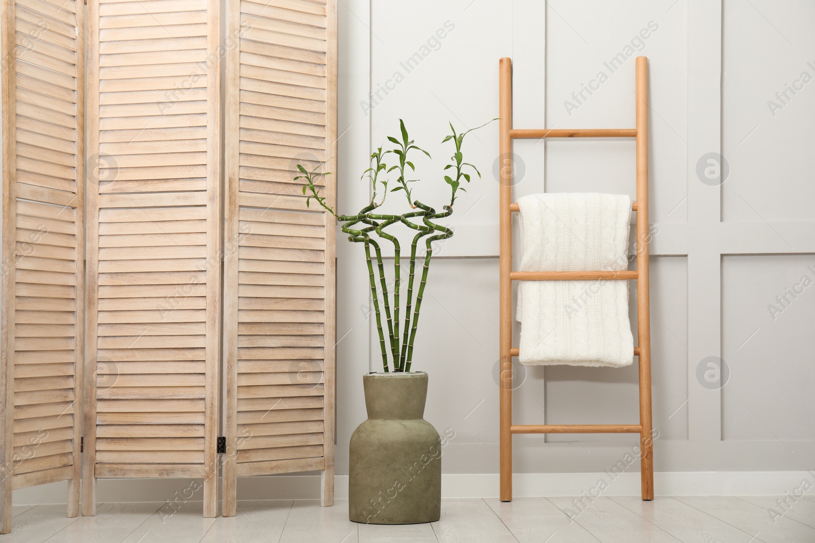 Photo of Vase with green bamboo stems, folding screen and ladder on floor in room. Interior design