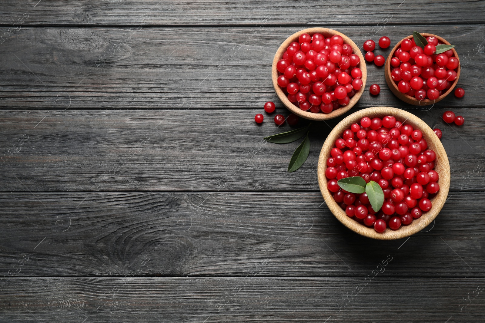 Photo of Ripe fresh cranberry on grey wooden table, flat lay. Space for text