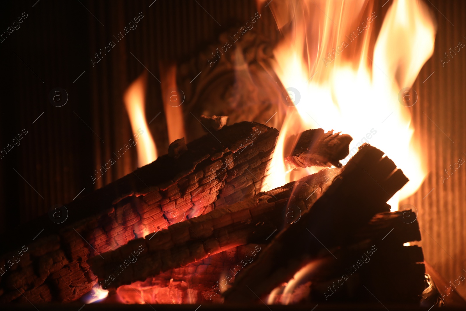 Photo of Bonfire with burning firewood on dark background, closeup