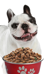 Cute French bulldog and feeding bowl on white background