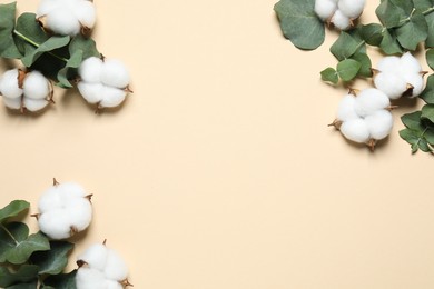 Cotton flowers and eucalyptus leaves on beige background, flat lay. Space for text