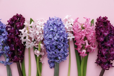 Photo of Beautiful spring hyacinth flowers on color background, top view