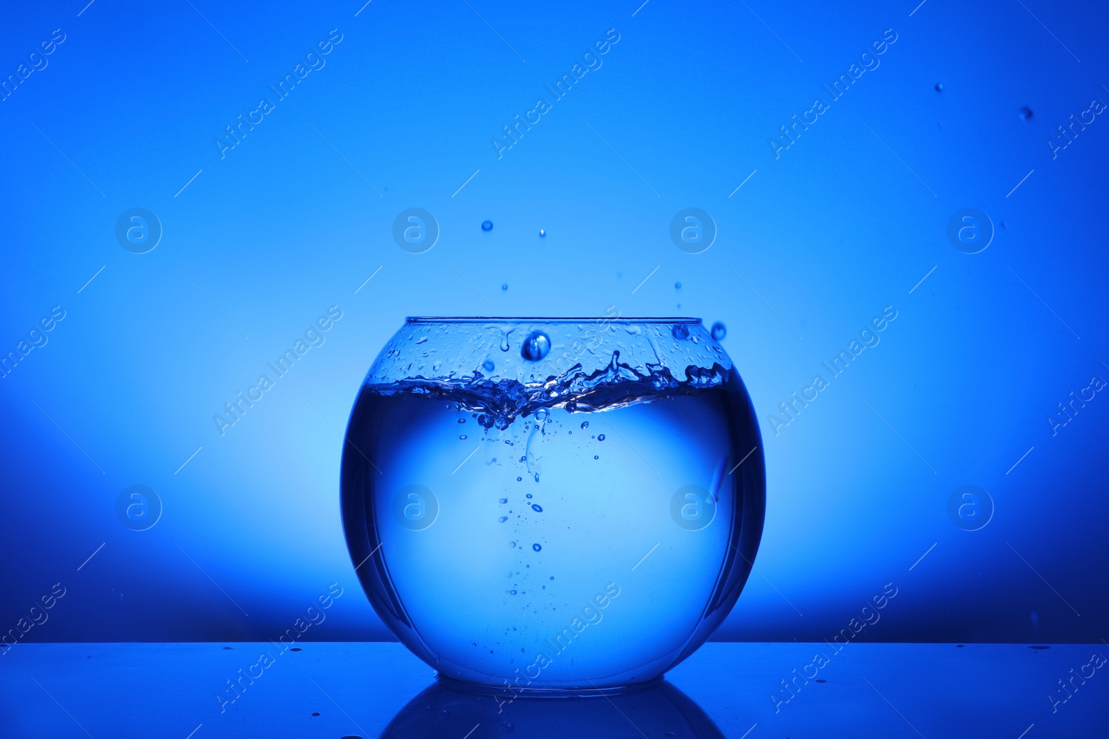 Photo of Splash of water in round fish bowl on blue background