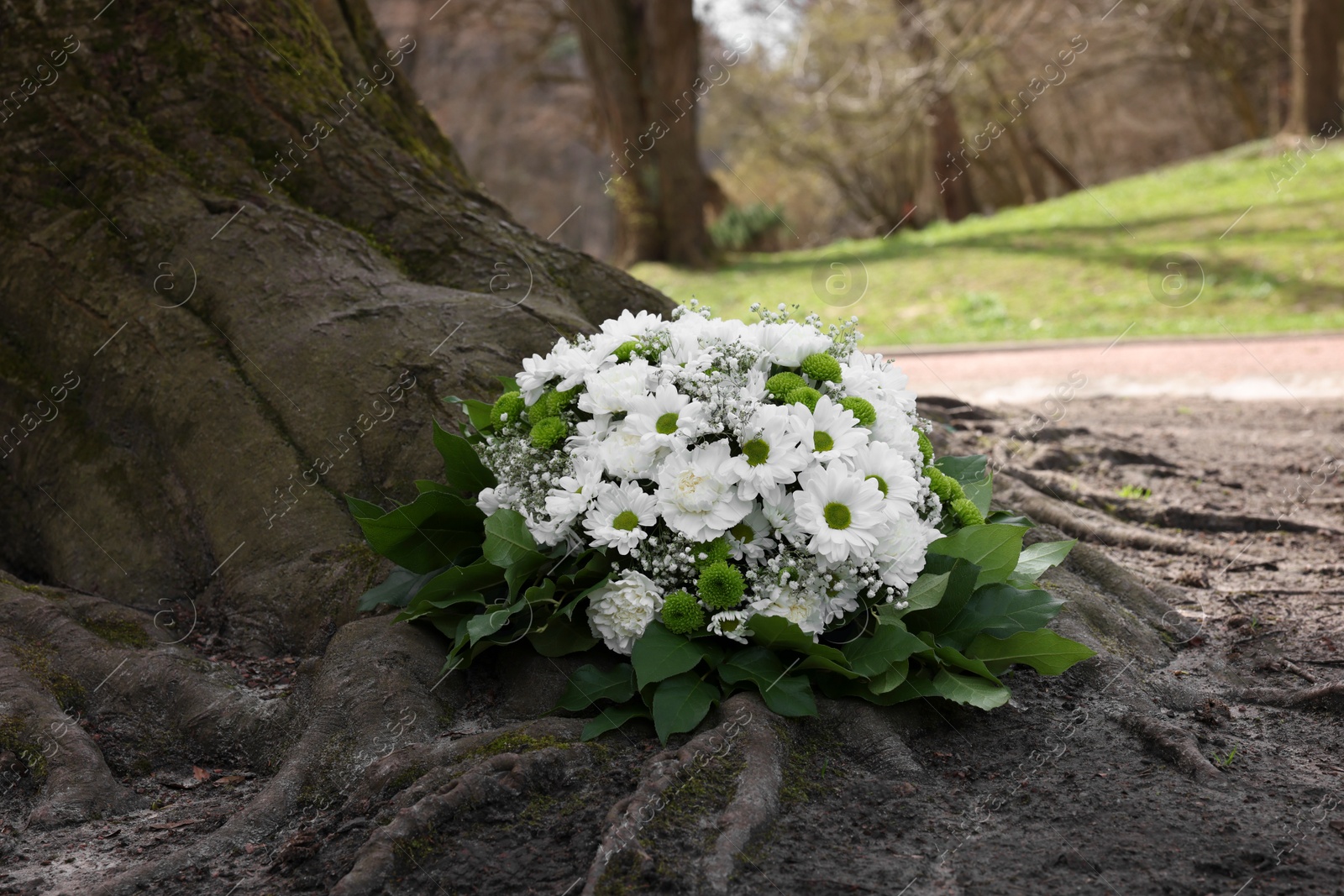 Photo of Funeral wreath of flowers near tree outdoors