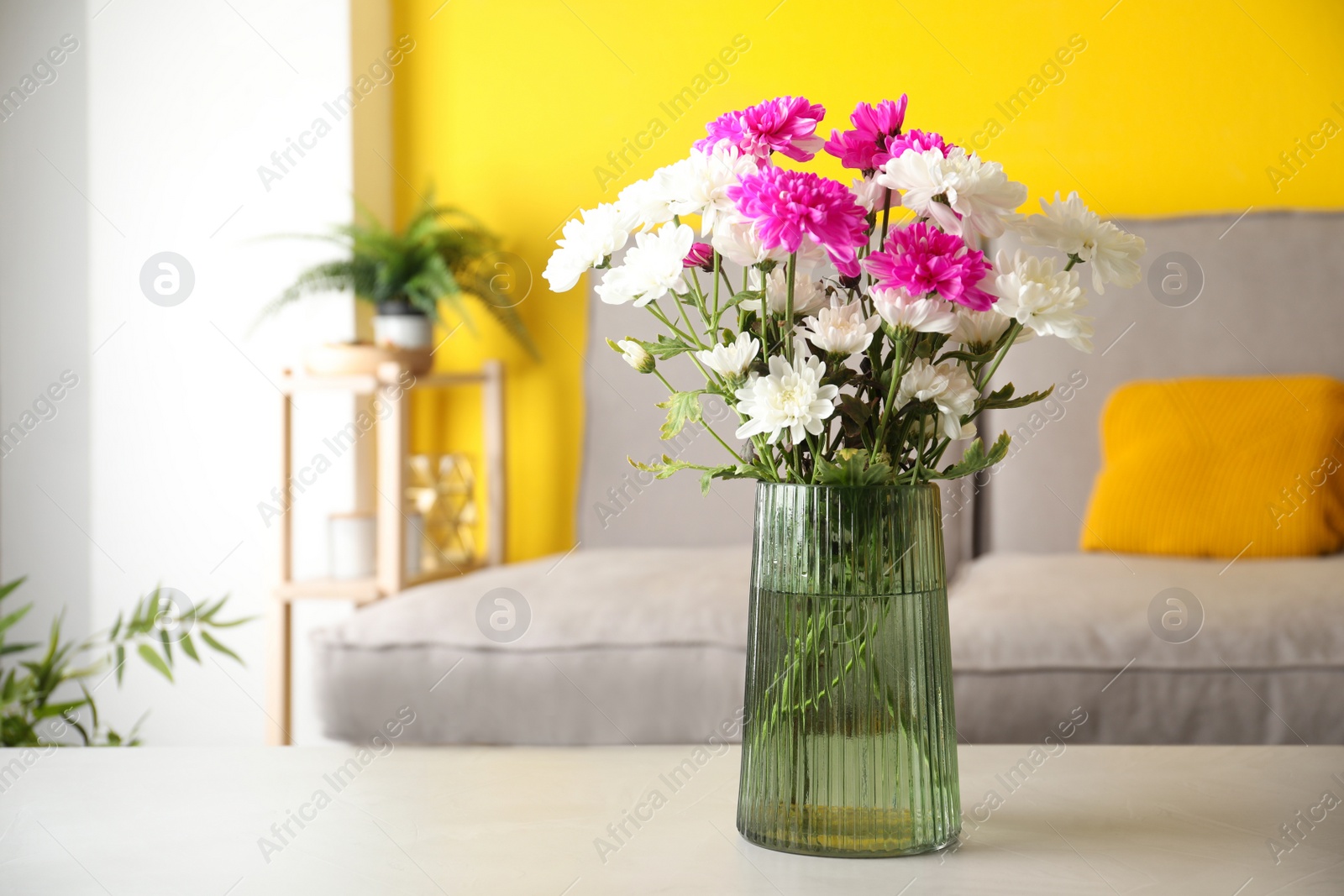 Photo of Beautiful bouquet of Chrysanthemum flowers on grey table indoors, space for text. Interior design