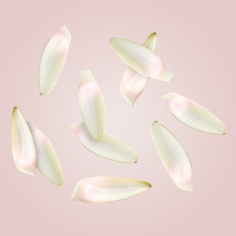 Image of Lotus flower petals falling on light pink background