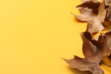 Dry autumn leaves on yellow background. Space for text