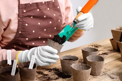 Photo of Woman adding soil into peat pots at wooden table, closeup. Growing vegetable seeds