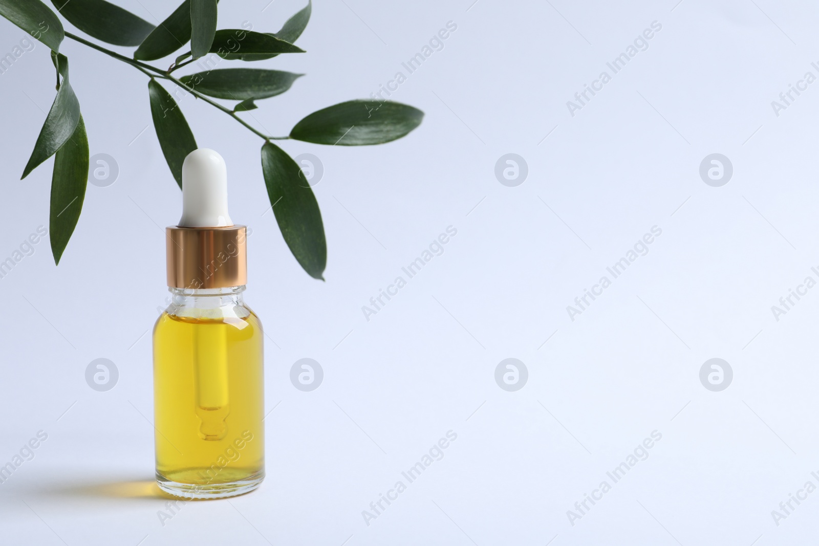 Photo of Bottle of cosmetic oil and leaves on white background. Space for text