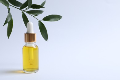 Bottle of cosmetic oil and leaves on white background. Space for text