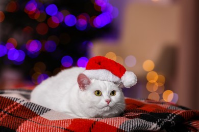 Adorable cat wearing Christmas hat on blanket indoors. Space for text