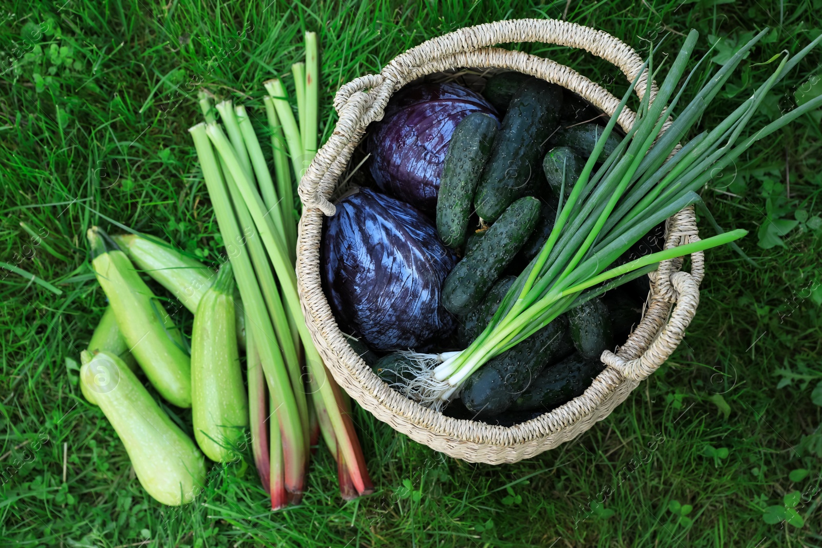 Photo of Tasty vegetables with wicker basket on green grass, top view