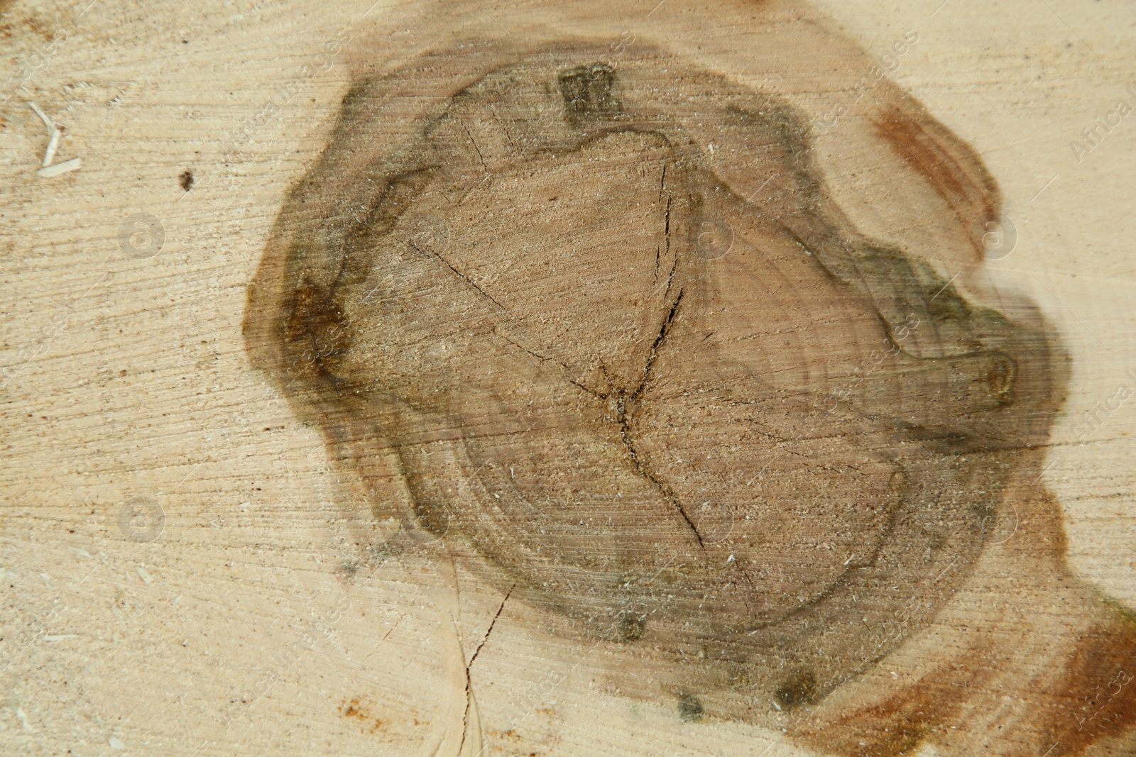 Photo of Texture of wooden surface as background, top view