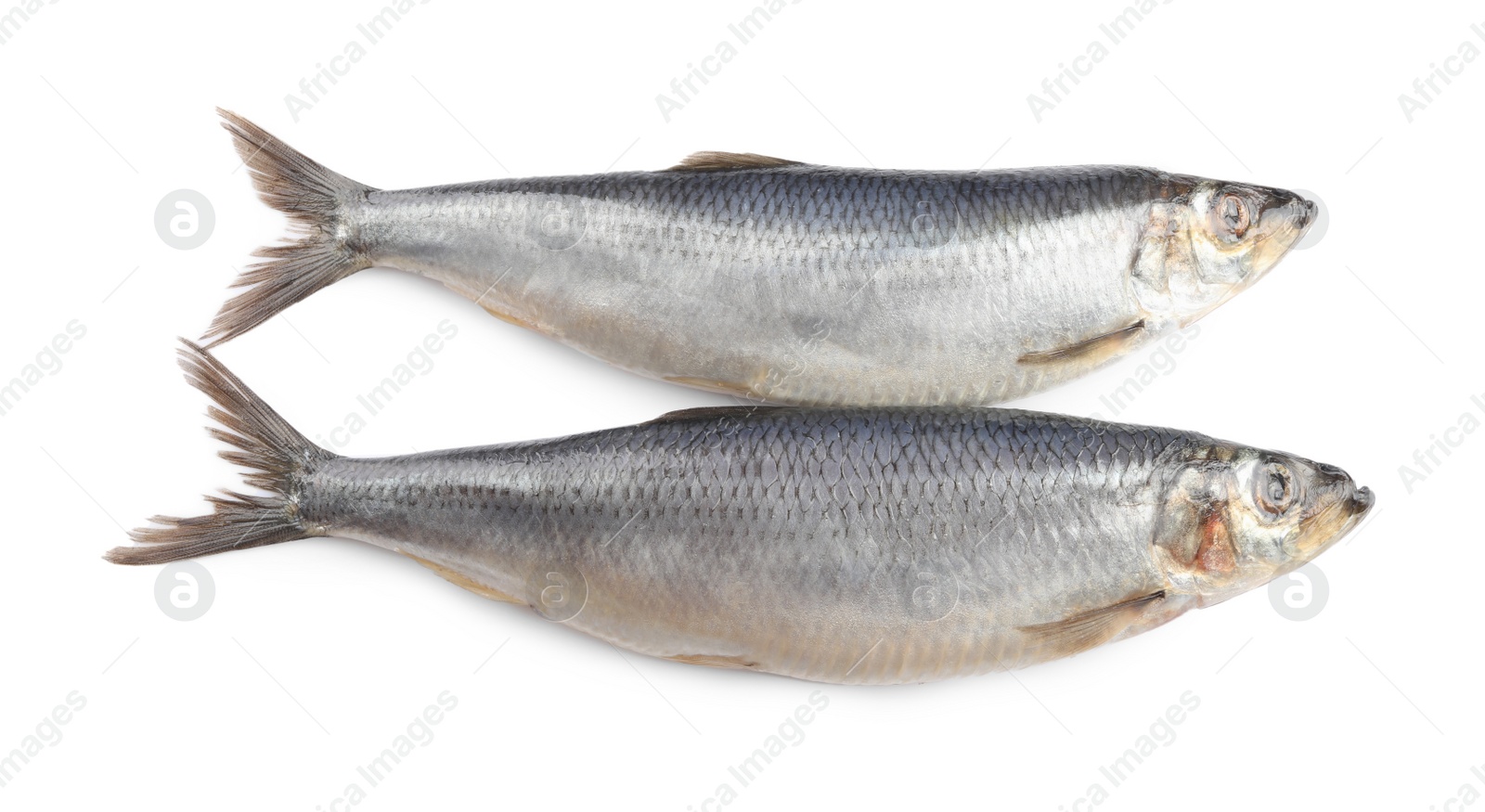 Photo of Whole delicious salted herrings isolated on white, top view