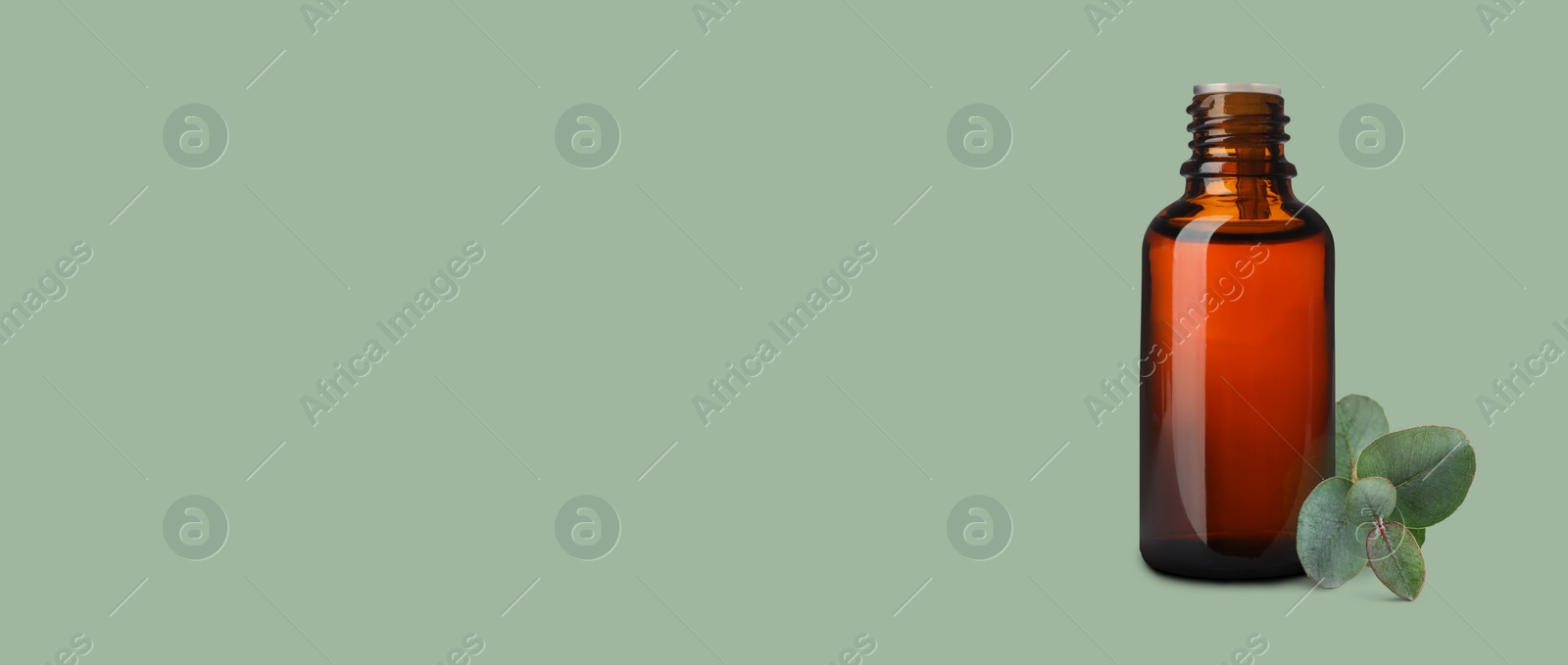 Image of Bottle of eucalyptus essential oil and leaves on pale light green background, space for text. Banner design