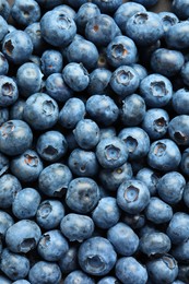 Photo of Tasty fresh blueberries as background, top view