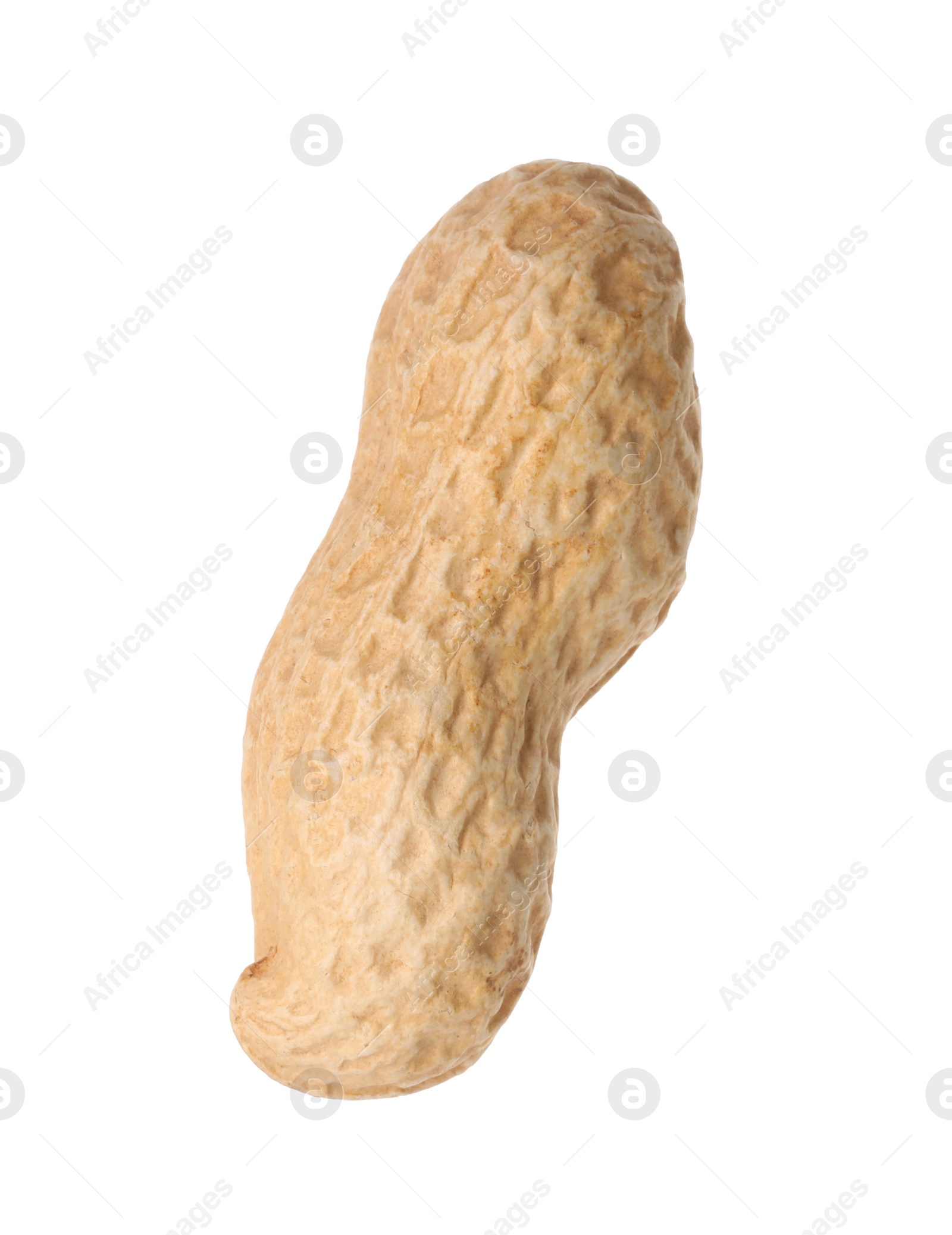 Photo of One fresh unpeeled peanut isolated on white