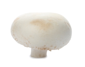 Photo of Fresh raw champignon mushroom on white background