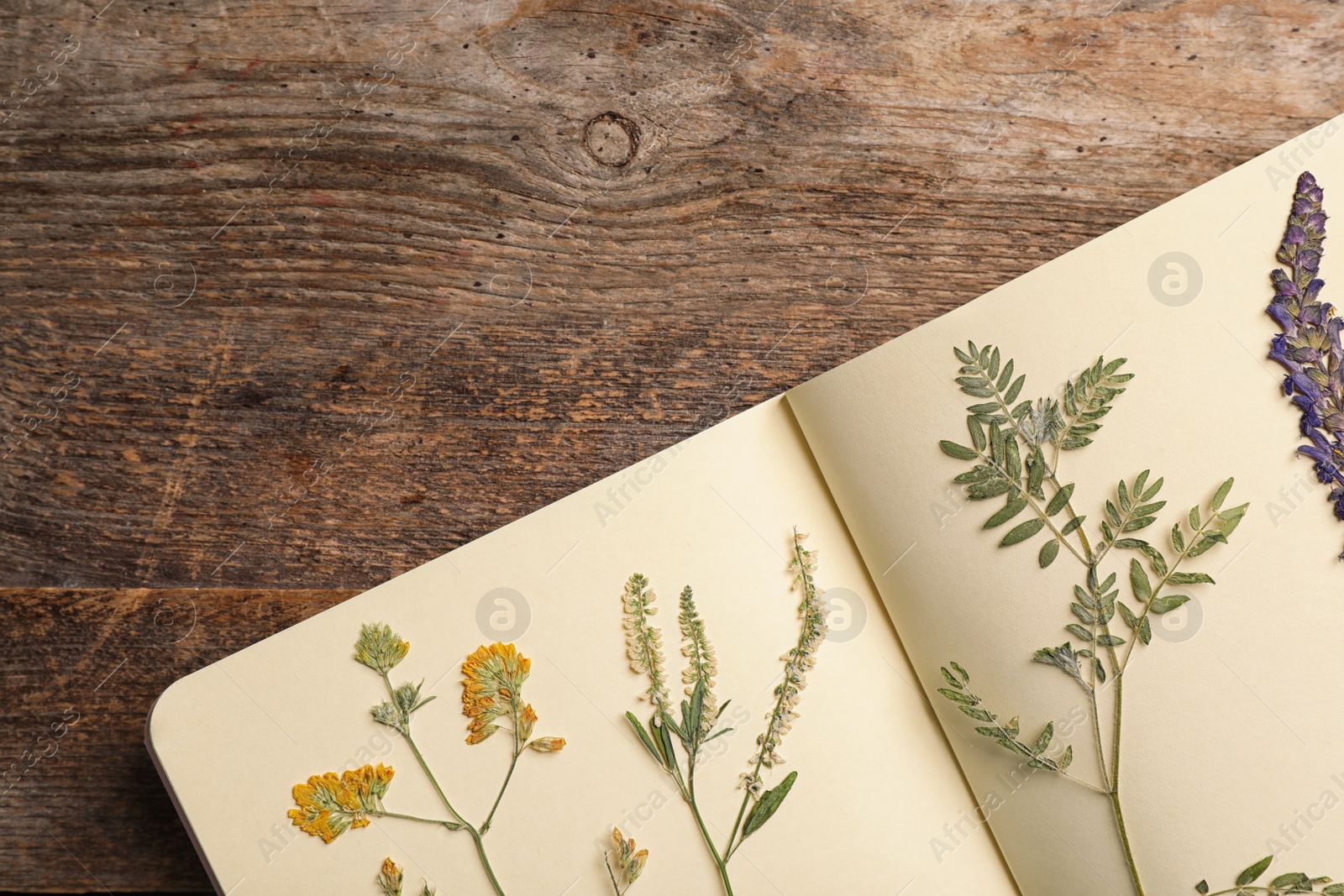 Photo of Wild dried meadow flowers in notebook on wooden background, top view