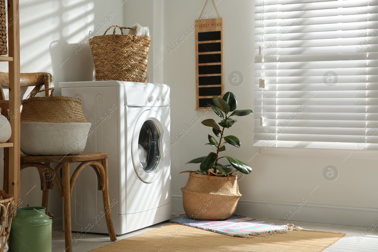 Photo of Modern washing machine and plant in laundry room interior
