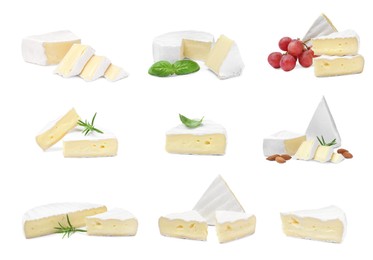 Image of Set with delicious brie cheese on white background