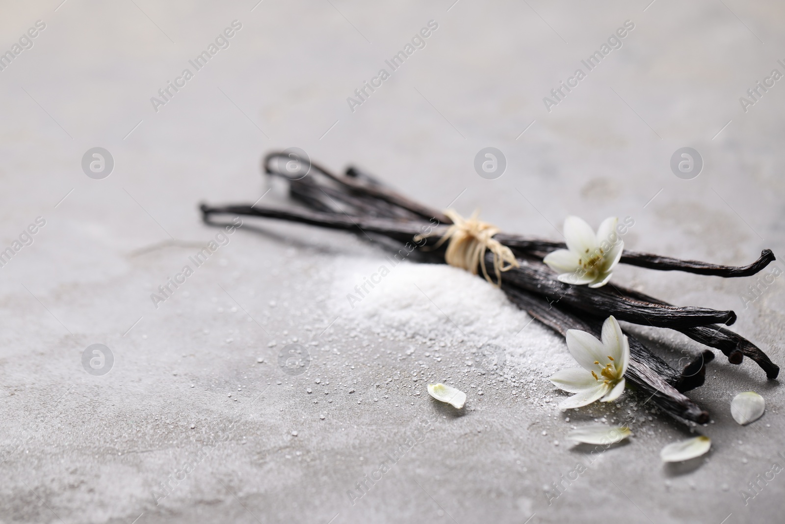 Photo of Vanilla pods, sugar, flowers and petals on gray textured table, closeup. Space for text