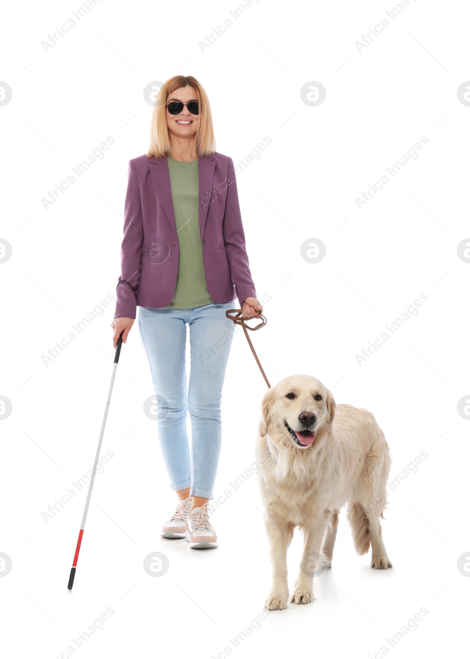 Photo of Blind person with long cane and guide dog on white background
